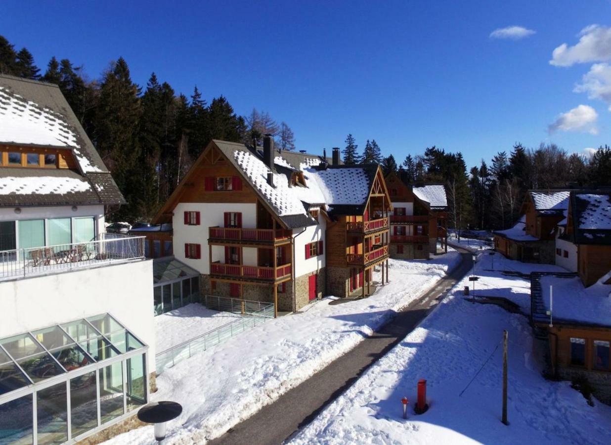 Antela, 142 M2 Appartment For 12 Person In Mariborsko Pohorje ฮอชโกโปโอเรีย ภายนอก รูปภาพ