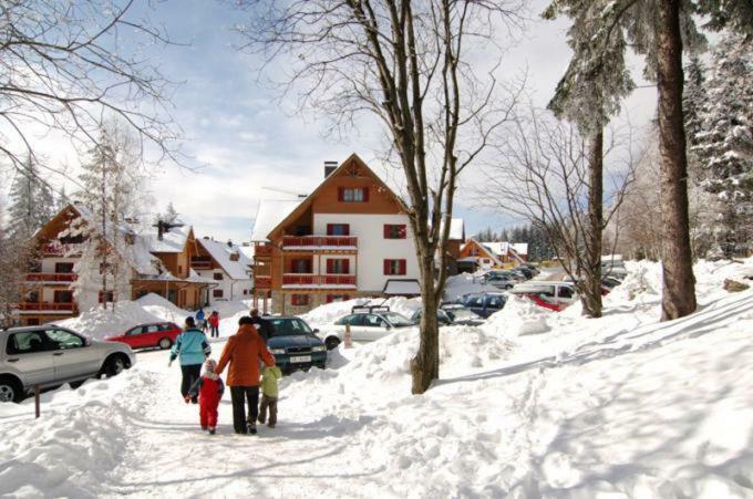 Antela, 142 M2 Appartment For 12 Person In Mariborsko Pohorje ฮอชโกโปโอเรีย ภายนอก รูปภาพ